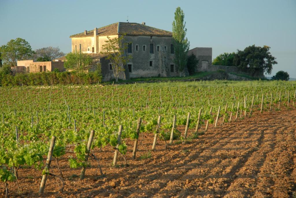 Mas Castell De Gimenelles 호텔 Sant Jaume dels Domenys 외부 사진