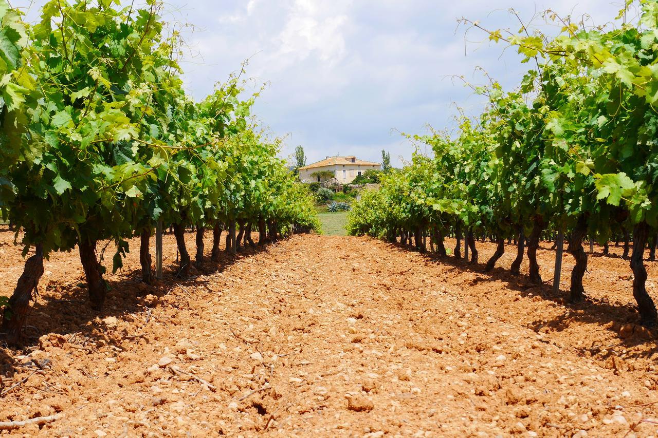 Mas Castell De Gimenelles 호텔 Sant Jaume dels Domenys 외부 사진